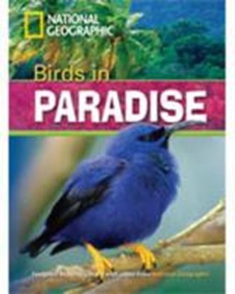 Εικόνα της BIRDS IN PARADISE B1 (+ DVD)