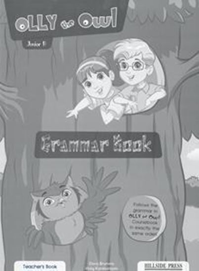 Εικόνα από OLLY THE OWL JUNIOR B GRAMMAR TEACHER'S