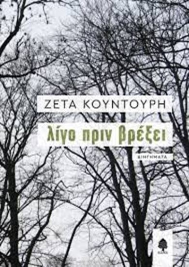 Εικόνα από ΛΙΓΟ ΠΡΙΝ ΒΡΕΞΕΙ