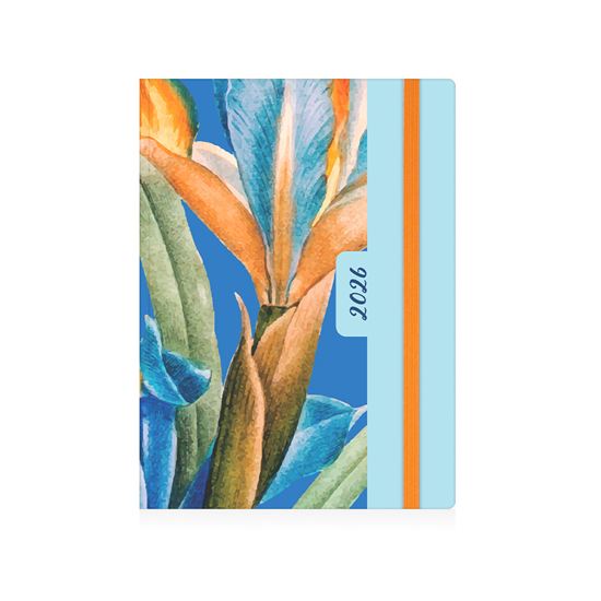 Εικόνα από ΗΜΕΡΟΛΟΓΙΟ ΗΜΕΡΗΣΙΟ ΡΗΟΤΟ ΛΟΥΛΟΥΔΙΑ  ΜΕ ΛΑΣΤΙΧΟ 2026 14Χ21 082