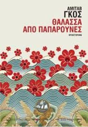 Εικόνα της ΘΑΛΑΣΣΑ ΑΠΟ ΠΑΠΑΡΟΥΝΕΣ