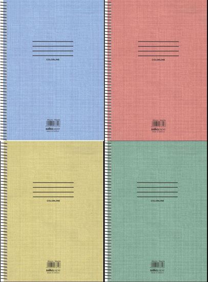 Εικόνα από ΤΕΤΡΑΔΙΟ ΣΠΙΡΑΛ SALKO COLORLINE 2 ΘΕΜΑΤΩΝ Α4 - 7857
