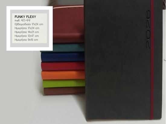 Εικόνα από ΗΜΕΡΟΛΟΓΙΟ  FUNKY FLEXY ΗΜΕΡΗΣΙΟ 17Χ24-ΕΚΔ. ΠΛΑΝΟΓΡΑΜΜΑ