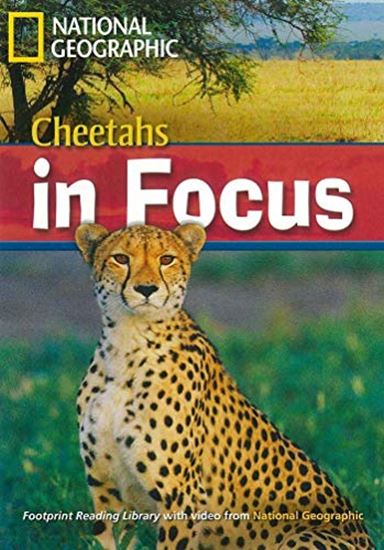 Εικόνα από CHEETAHS IN FOCUS!