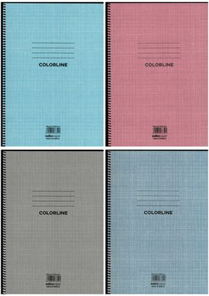 Εικόνα της ΤΕΤΡΑΔΙΟ ΣΠΙΡΑΛ SALKO COLORLINE 4 ΘΕΜΑΤΩΝ A4 - 7859