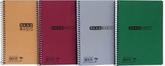 Εικόνα από ΤΕΤΡΑΔΙΟ ΣΠΙΡΑΛ SKAG BASIC 4 ΘΕΜΑΤΩΝ Α4 - 276122
