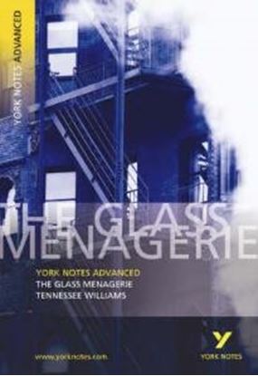 Εικόνα της THE GLASS MENAGERIE: YORK NOTES ADVANCED