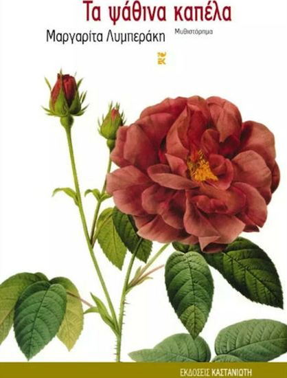 Εικόνα από ΤΑ ΨΑΘΙΝΑ ΚΑΠΕΛΑ