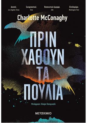Εικόνα της ΠΡΙΝ ΧΑΘΟΥΝ ΤΑ ΠΟΥΛΙΑ