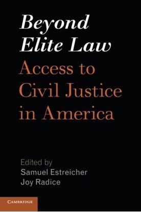 Εικόνα της BEYOND ELITE LAW: ACCESS TO CIVIL JUSTICE IN AMERICA