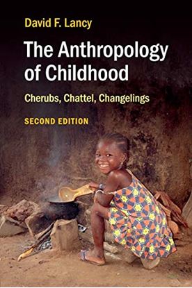 Εικόνα της THE ANTHROPOLOGY OF CHILDHOOD