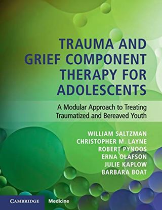 Εικόνα της TRAUMA AND GRIEF COMPONENT THERAPY FOR ADOLESCENTS