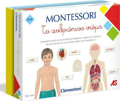 Εικόνα της MONTESSORI ΤΟ ΑΝΘΡΩΠΙΝΟ ΣΩΜΑ