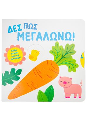 Εικόνα της ΔΕΣ ΠΩΣ ΜΕΓΑΛΩΝΩ!
