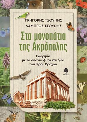 Εικόνα της ΣΤΑ ΜΟΝΟΠΑΤΙΑ ΤΗΣ ΑΚΡΟΠΟΛΗΣ