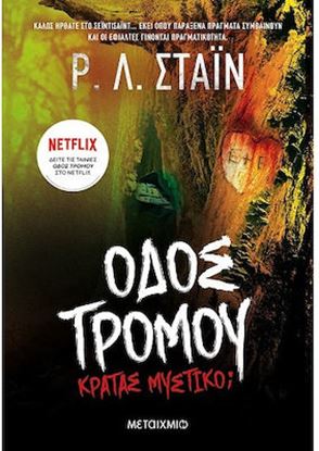 Εικόνα της ΟΔΟΣ ΤΡΟΜΟΥ: ΚΡΑΤΑΣ ΜΥΣΤΙΚΟ;