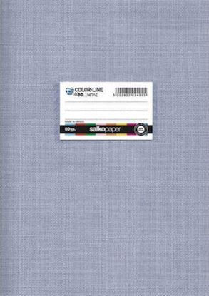Εικόνα της ΤΕΤΡΑΔΙΟ ΚΑΡΦΙΤΣΑ SALKO COLORLINE 2415 21Χ29 ΜΠΛΕ 40Φ