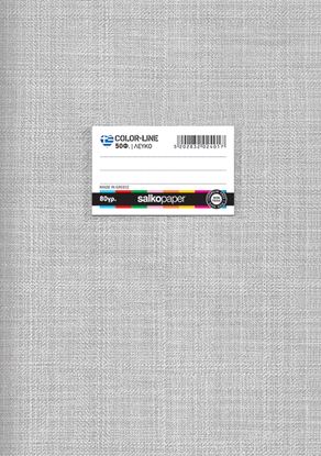 Εικόνα της ΤΕΤΡΑΔΙΟ ΚΑΡΦΙΤΣΑ SALKO COLORLINE 40 ΦΥΛΛΩΝ Α4 - ΛΕΥΚΟ 2401