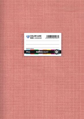 Εικόνα της ΤΕΤΡΑΔΙΑ ΚΑΡΦΙΤΣΑ SALKO COLORLINE 2413 21Χ29 40φ ΡΙΓΕ ΡΟΖ