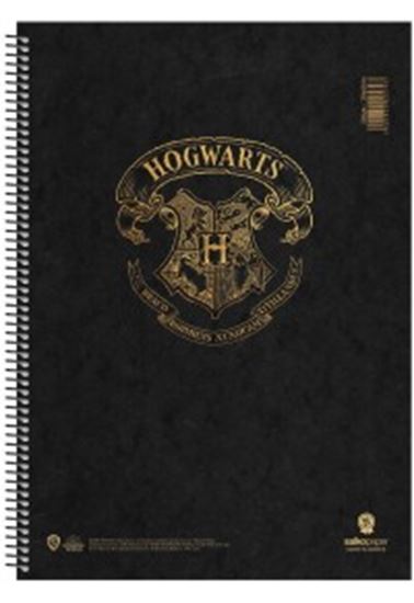 Εικόνα από ΤΕΤΡΑΔΙΟ ΣΠΙΡΑΛ SALKO HOGWARTS 3 ΘΕΜΑΤΩΝ Β5 - 7353