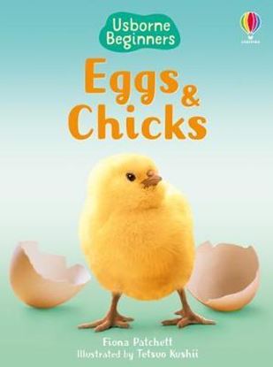 Εικόνα της USBORNE: EGGS AND CHICKS HC