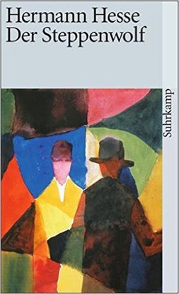 Εικόνα της DER STEPPENWOLF  TASCHENBUCH
