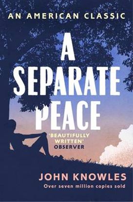 Εικόνα της A SEPARATE PEACE PB B