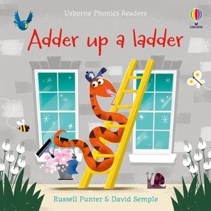 Εικόνα της USBORNE PHONIC READERS : ADDER UP A LADDER PB