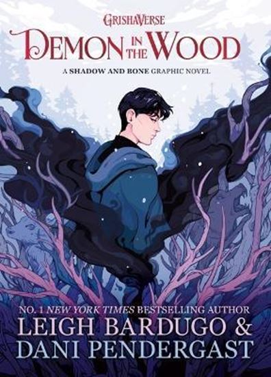 Εικόνα από DEMON IN THE WOOD HC