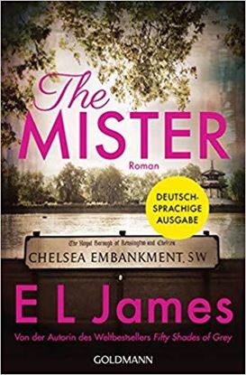 Εικόνα της THE MISTER: ROMAN