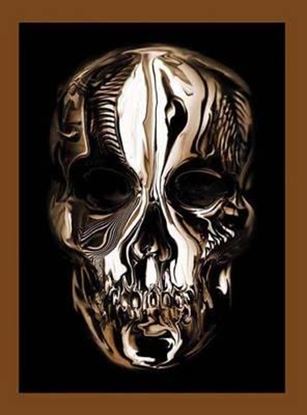 Εικόνα της ALEXANDER MCQUEEN : SAVAGE BEAUTY HC