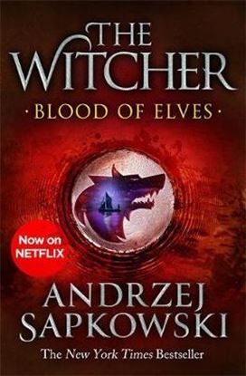 Εικόνα της THE WITCHER 1: BLOOD OF ELVES PB B