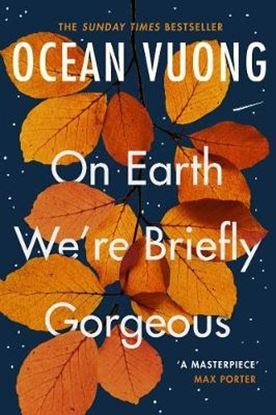 Εικόνα της ON EARTH WE'RE BRIEFLY GORGEOUS