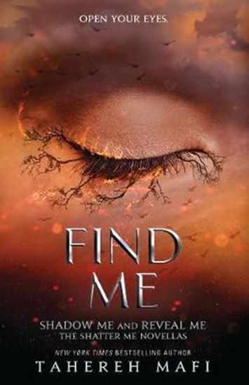 Εικόνα από SHATTER ME 4.5 - 5.5: FIND ME PB