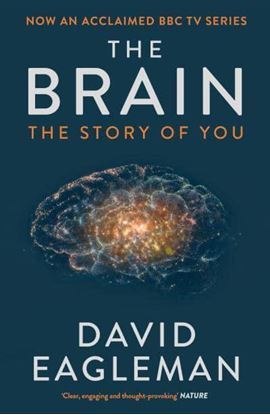 Εικόνα της THE BRAIN