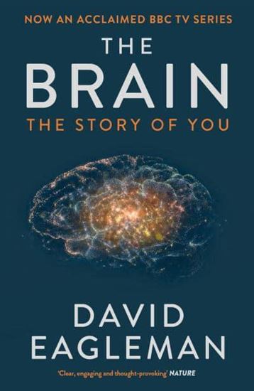 Εικόνα από THE BRAIN