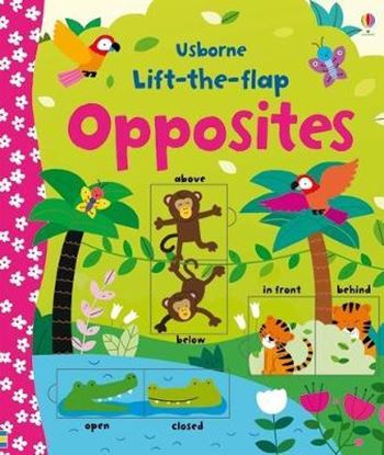 Εικόνα της USBORNE LIFT-THE-FLAP : OPPOSITES HC BBK