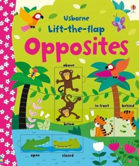 Εικόνα από USBORNE LIFT-THE-FLAP : OPPOSITES HC BBK