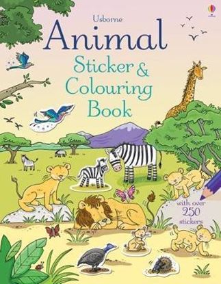 Εικόνα της USBORNE ANIMAL STICKER & COLOURING BOOK PB