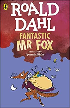 Εικόνα της ROALD DAHL'S : FANTASTIC MR FOX PB