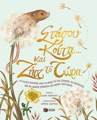 Εικόνα της ΣΤΑΣΟΥ, ΚΟΙΤΑ... ΚΑΙ ΖΗΣΕ ΤΟ ΤΩΡΑ