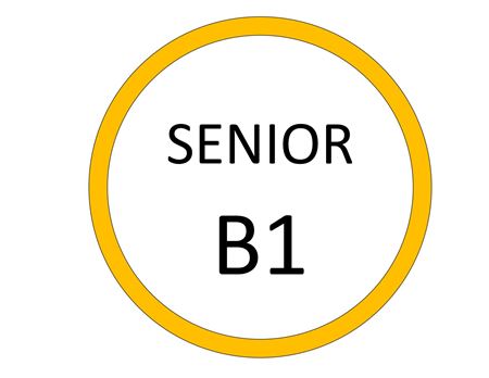 Εικόνα για την κατηγορία SENIOR B1