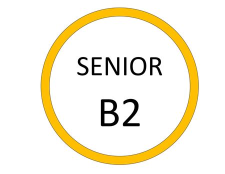 Εικόνα για την κατηγορία SENIOR B2