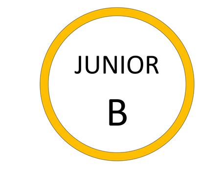 Εικόνα για την κατηγορία JUNIOR B