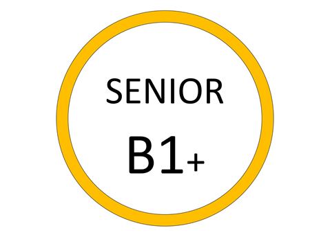 Εικόνα για την κατηγορία SENIOR B1+