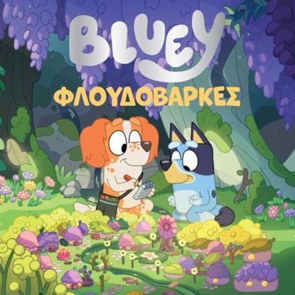 Εικόνα της BLUEY: ΦΛΟΥΔΟΒΑΡΚΕΣ