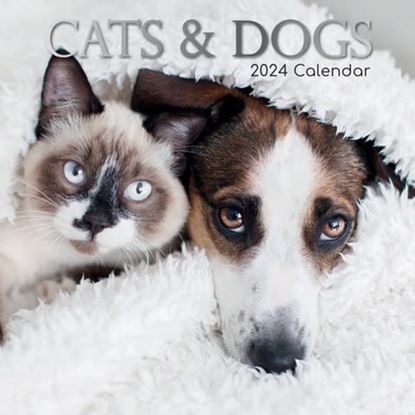 Εικόνα της ΗΜΕΡΟΛΟΓΙΟ ΤΟΙΧΟΥ ΜΗΝΙΑΙΟ 2024 CATS&DOGS