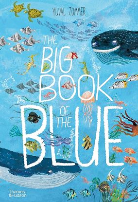 Εικόνα της THE BIG BOOK OF THE BLUE HC