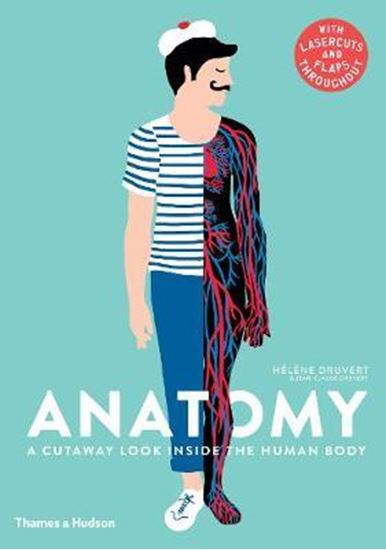 Εικόνα από ANATOMY - WITH LASERCUTS AND FLAPS THROUGHOUT HC