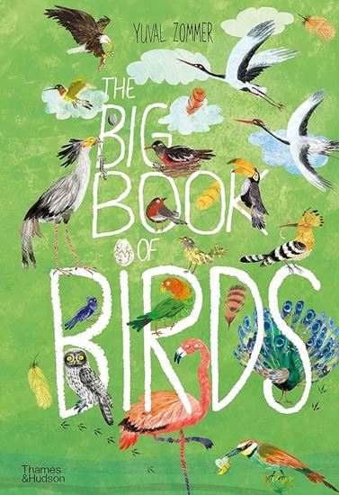 Εικόνα από THE BIG BOOK OF BIRDS HC